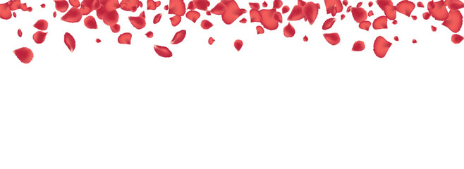 Pink Blossom Blur Vector Panoramic White