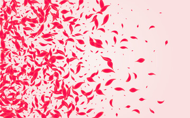 Coral Petal Vector Pink Background. Flying Floral