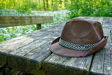 Classic brown hat resting on a weathered wooden bench in a lush forest setting