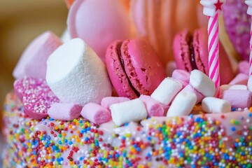 Pink-themed cake, decorated with pink and white marshmallows and covered by sprinkles of all colors