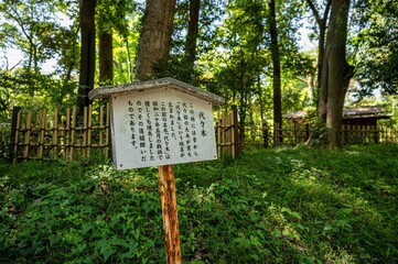 a sign in the middle of a forest reading chinese letters