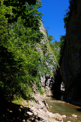 Cheile Rametului gorges wild natural park river area in Alba county, Transylvania, Romania, Europe