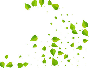 Mint Greens Abstract Vector White Background