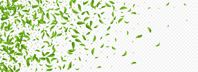 Forest Leaves Ecology Vector Panoramic