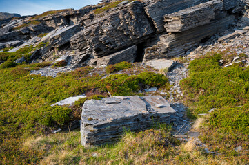 Cliff and large rock slate rock in grass and moss