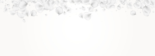 Gray Lotus Vector Light Panoramic Background.