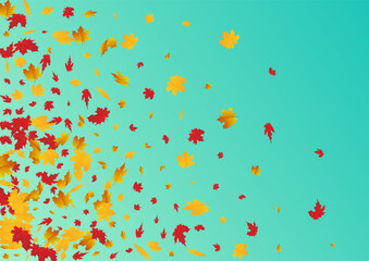 Orange Leaves Vector Blue Background. Decor Plant