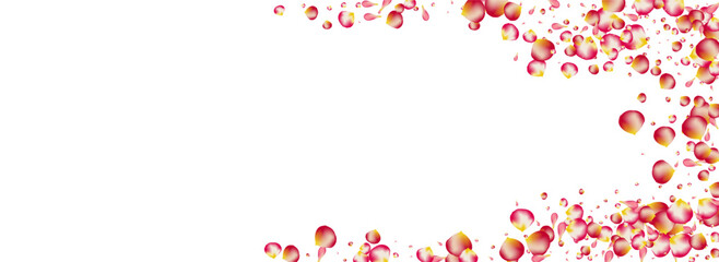 Pink Sakura Spring Vector Panoramic White