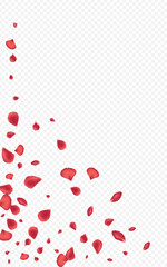 Delicate Sakura Fly Vector Transparent