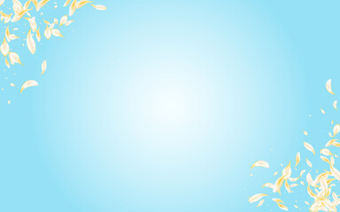 Beige Floral Spring Vector Blue Background.