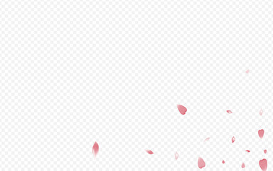 Pink Floral Vector Transparent Background. Cherry