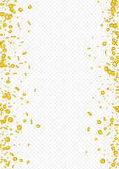 Fly Golden Jackpot Vector Transparent Background.