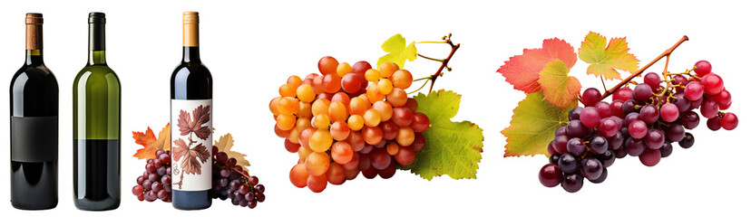 Set of ripe autumn grape harvest. Collection of wine bottles. Red wine in glass bottles. Clusters of grapes with yellow-orange leaves. Isolated on a transparent background.