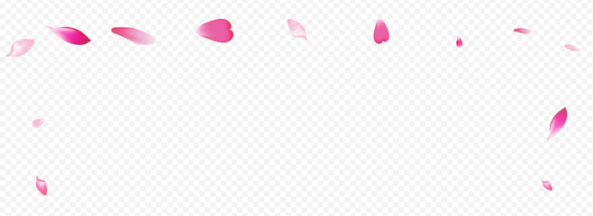 White Petal Vector Panoramic Transparent