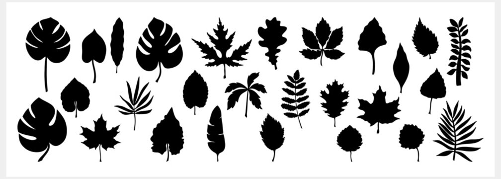 Doodle leaf set icons isolated. Stencil leaves. Vector stock illustration. EPS 10