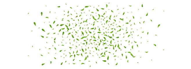 Swamp Leaf Abstract Vector Panoramic White