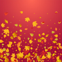 Obraz na płótnie Canvas Brown Leaves Vector Red Background. November Leaf