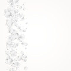 Gray Rose Vector Light Background. Delicate
