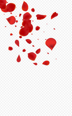 Red Flower Spring Vector Transparent Background.