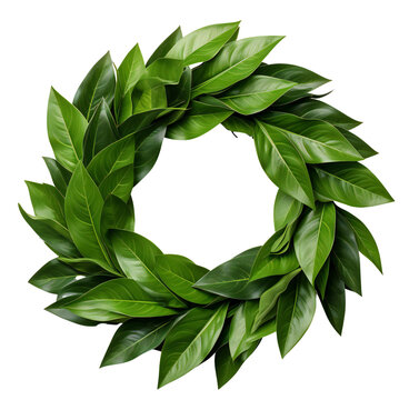 Green round wreath of laurel leaves. Laurel wreath. Isolated on a transparent background.