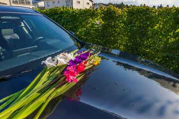 Fototapety na wymiar - Fototapeta24.pl