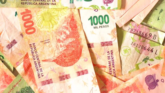 Lots of argentine pesos bills mixed in one thousand and five hundred bills