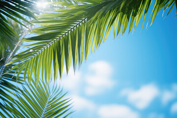 Fototapeta premium Green tropical palm leaves against a backdrop of bright summer blue sky and sunshine. Creative sunny summer tropical wallpaper.