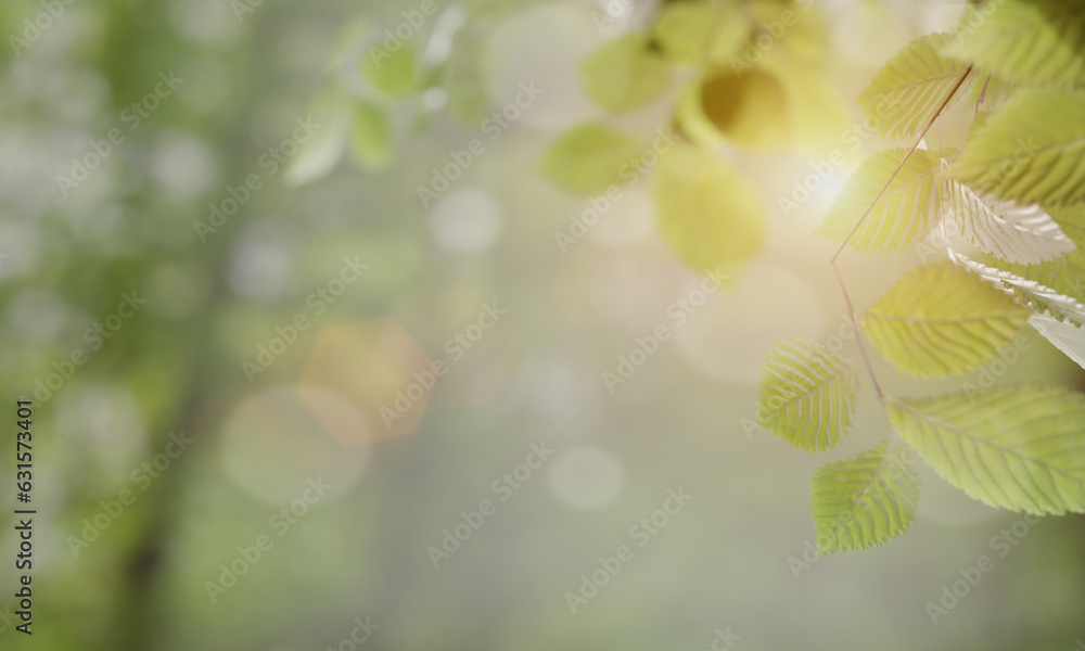 Poster selective focus leaves with orange light and bokeh, 3d illustration rendering