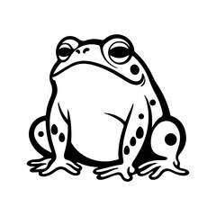 frog vector illustration