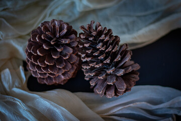 pinhas para artesanato e decora&ccedil;&atilde;o