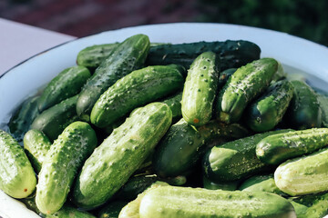 cucumbers in a glass bowl
