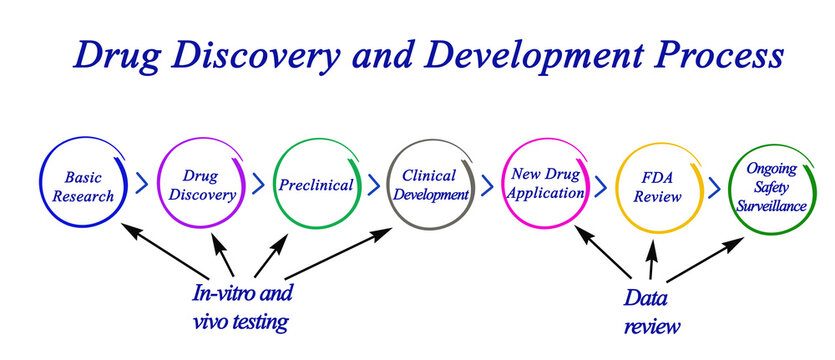Drug Discovery and Development Process