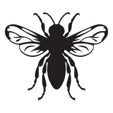 Wasp silhouettes and icons. black flat color simple elegant Wasp animal vector and illustration.