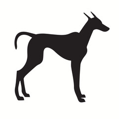 Obraz premium Whippet silhouettes and icons. black flat color simple elegant Whippet animal vector and illustration.