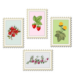 Postage stamps berries in the northern forests, vector set