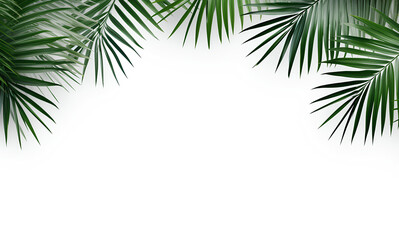 Palm leaves on white background, Minimal abstract background for product presentation - Generative AI