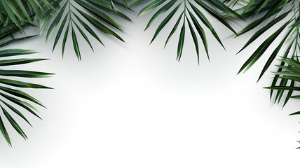 Fototapeta na wymiar Palm leaves on white background, Minimal abstract background for product presentation - Generative AI