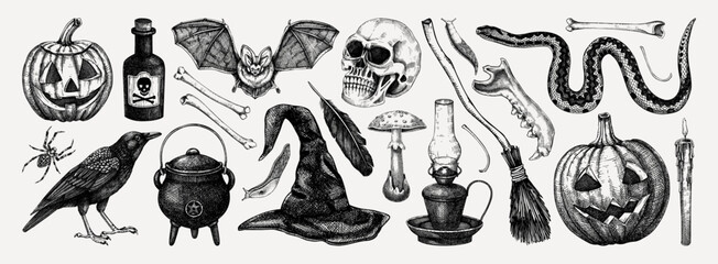 Halloween vector illustrations set. Skull, bones, potions, pumpkin head, poisonous mushrooms, snakes, raven sketches. Hand drawn witchcraft and magic element for Halloween design, print, decoration - obrazy, fototapety, plakaty