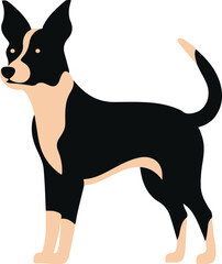 Basenji Dog icon