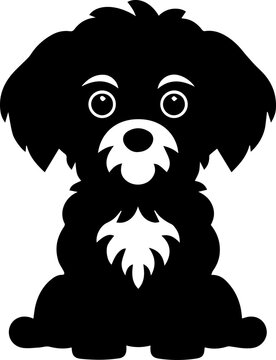 Bichpoo flat icon