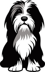 Bearded Collie icon