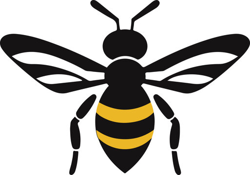 Beewolf wasp icon