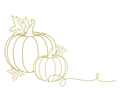harvest pumkins line art style. organic vegetable garden. thanksgiving, halloween element vector