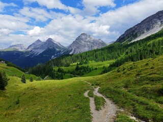 Obraz premium landscape in summer