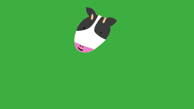 Animation loop video cartoon cow on green screen background , remove green background use software editing what you using
