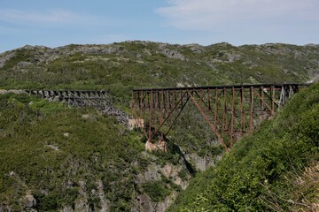 Dead Horse Gulch Bridge der White Pass & Yukon Railroad in Skagway, Alaska
