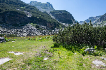 Fototapeta na wymiar Landscape of Rila Mountain near Malyovitsa hut, Bulgaria