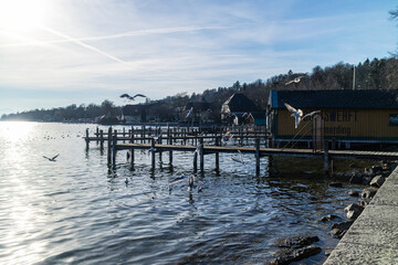 Seagulls flying around a wooden jetty