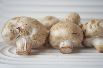 Fresh champignons mushroom in a white bowl on table 