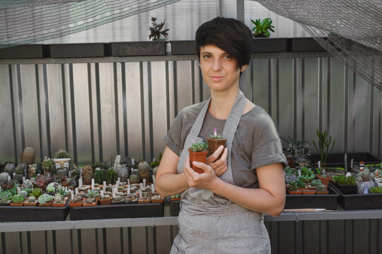 Saleswoman holding succulent in flower pot. Florist showing Conophytum succulent from the shelf in the shop